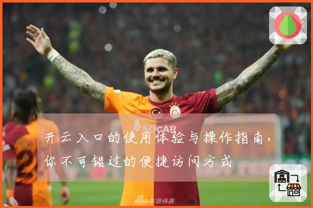 开云入口的使用体验与操作指南，你不可错过的便捷访问方式